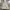 Adidas Treefoil Outdoor Jacket Windbraker Water Resistance G photo 7