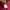 Japanese Brand Script Red Zip Track Jacket photo 5