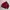 Japanese Brand Script Red Zip Track Jacket