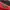Japanese Brand Script Red Zip Track Jacket photo 4