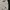 Polo Shirt Calvin Klein Button Original Light Grey Unisex photo 4