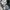 Original Gucci Tapered Washed Jeans photo 5
