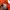 Adidas climacool 365 orange jersey photo 6