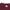 DOPE couture velvet maroon tee photo 3