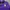 Polo Shirt Long Sleeve Ralph Lauren Purple photo 3