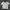 Polo Shirt County US Ralph Lauren 