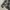 THRUXTON Snap Button Veterano Flannel Shirt photo 5