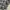 THRUXTON Snap Button Veterano Flannel Shirt photo 6