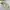 Jacket winter the north face himalaya city goose down cream  photo 1