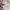 Jacket winter the north face himalaya city goose down cream  photo 7