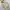 Jacket winter the north face himalaya city goose down cream  photo 6