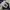 Jacket winter the north face himalaya city goose down cream  photo 3