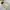 Jacket winter the north face himalaya city goose down cream  photo 2