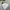 Jacket winter mountain parka polham dooble boost expedition  photo 3