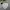 Jacket winter mountain parka polham dooble boost expedition  photo 2