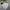 Jacket Winter Mountain Parka Polham Dooble Boost Expedition 