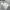 Jacket winter mountain parka polham dooble boost expedition  photo 9