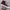 Converse Chuck Taylor All Star 70S High Dark Beetroot photo 1