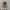Converse Chuck Taylor All Star 70S High Dark Beetroot photo 3