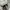Converse Chuck Taylor All Star 70S High Midnight Clover photo 7