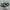 Converse Chuck Taylor All Star 70S High Midnight Clover photo 2