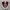 Converse CT All Star 70S High Recycle Canvas Deep Bordeaux  photo 3