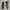 Chunky Loafers women photo 1