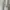 Burberry Brit short stripe photo 6