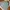 Yonex Windbreaker Jacket Heat Capsule Mint Green photo 2