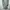 Rick owens lilies llong cardigan photo 5