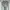 Rick Owens Lilies Llong Cardigan