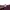 Imperial as roma francesco totti maroon tee photo 3