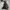 JAKET BULANG STARUN GORPCORE Y2K photo 1