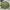 FISHTAIL MILITARY JAKET RIPEN CITYBOYS SERIES photo 2