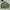 FISHTAIL MILITARY JAKET RIPEN CITYBOYS SERIES photo 1