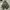 FISHTAIL MILITARY JAKET RIPEN CITYBOYS SERIES photo 3