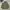WINDBREAKER JAKET KISS ME CAMOFLAUGE photo 1