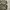WINDBREAKER JAKET KISS ME CAMOFLAUGE photo 5