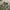 WINDBREAKER JAKET KISS ME CAMOFLAUGE photo 4