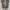 Converse Chuck Taylor All Star 70S High Black White photo 7