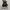 Converse Chuck Taylor All Star 70S High Black White photo 5