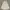 ZARA HIGH WAIST PLEATED SKIRT WOMAN