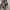 Laurant Benon Paris Dasi Silk 100%