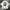 T-Shirt Ben Davies - White
