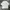 T-Shirt Ben Davies - White