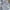 Adidas Street Logo French Terry Sweat Pants Gray photo 7