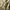 Liz Lisa Victorian Babydoll Dress  photo 3