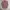 Ben Sherman Stripe Shirt photo 1