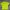 Asics jersey event marathon size L photo 1