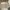Flat Long Wallet ( beige ) - Charles&Keith photo 2